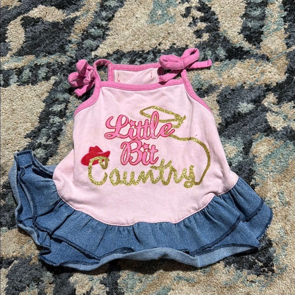 Simply Styled Pink and Blue Dog Dress